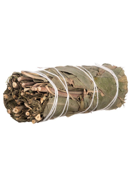 Bilovit - EUKALIPTUS pęczek.